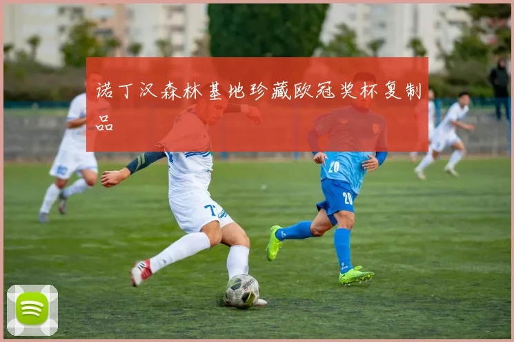 诺丁汉森林基地珍藏欧冠奖杯复制品