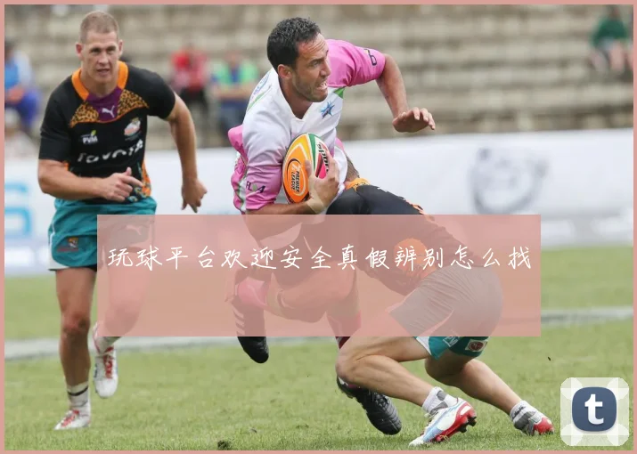 玩球平台欢迎安全真假辨别怎么找