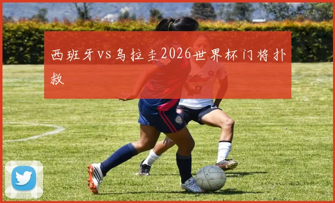 西班牙vs乌拉圭2026世界杯门将扑救