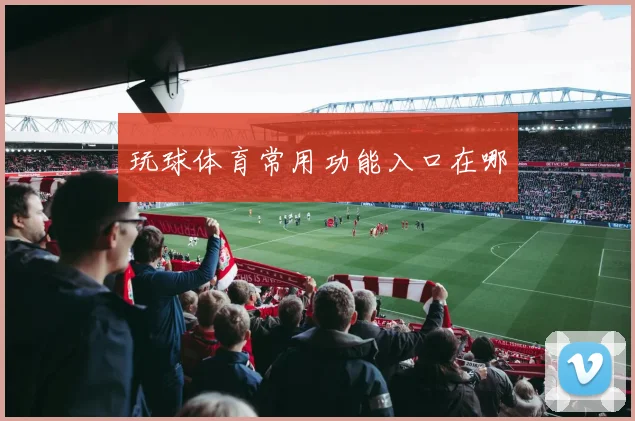 玩球体育常用功能入口在哪