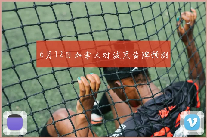 6月12日加拿大对波黑黄牌预测