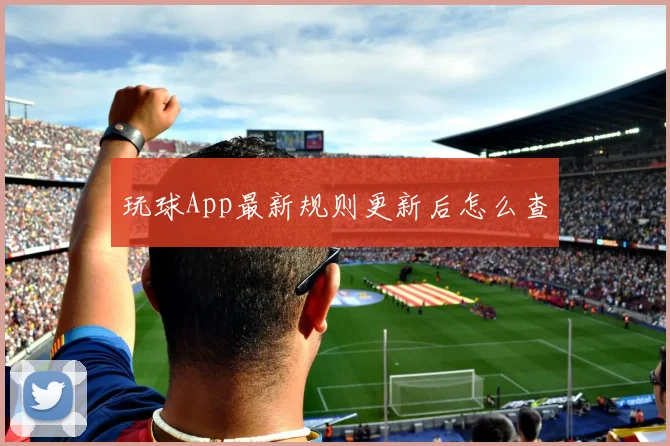 玩球App最新规则更新后怎么查